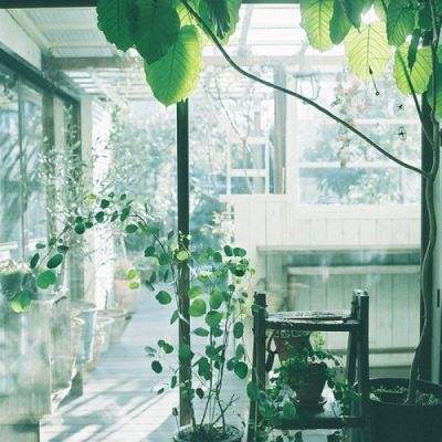 Kaiyun·开云体育手机app下载