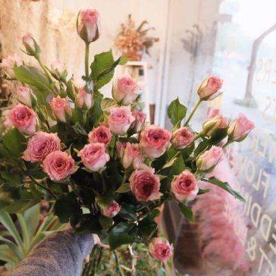 BOB·体育综合APP下载