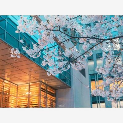 麻将胡了pg网站